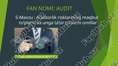 audit — PPTX