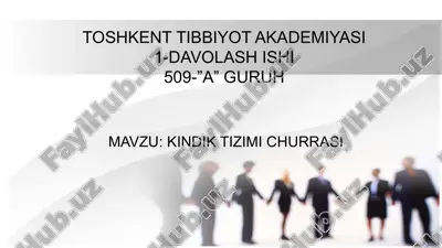 kindik churrasi — PPTX