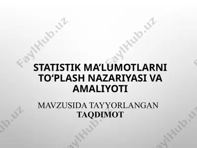 statistik ma’lumotlarni to‘plash nazariyasi va amaliyoti — PPTX