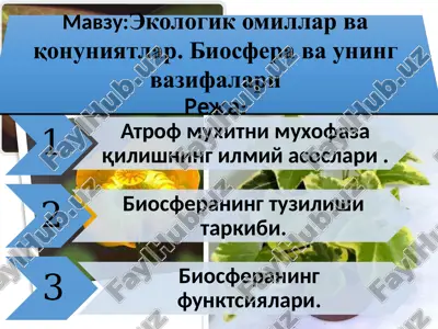 ekologikomillar va qonuniyatlar. biosfera va uning vazifalari — PPTX
