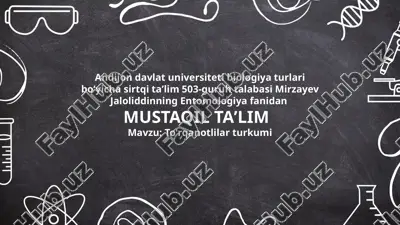 to'rqanotlilar turkumi — PPTX
