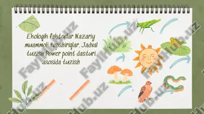 ekologik faktorlar va muammolarni tahlil qilish — PPTX