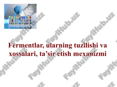 fermentlar — PPTX