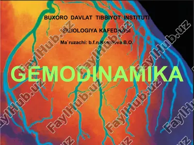 color-enhanced angiographic image of coronary arteries — PPT