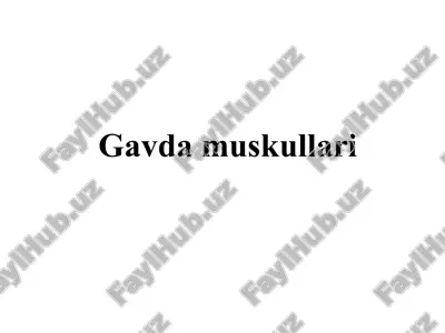 gavda muskullari — PPT