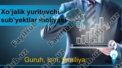 xo’jalikyurituvchi sub’yektlar moliyasi — PPTX
