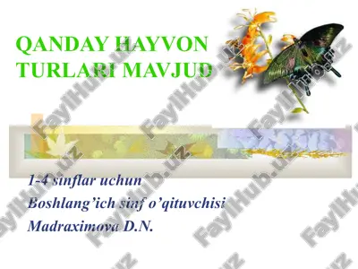 qanday hayvon turlari mavjud? — PPT