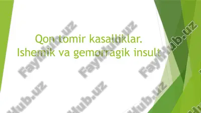 qon tomir kasalliklar. ishemik va gemorragik insult — PPTX