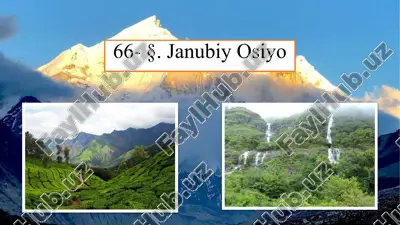 janubiy osiyo geografik ma'lumotlar — PPTX