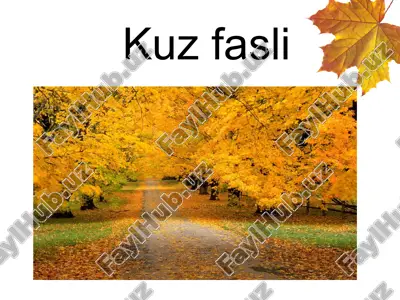 kuzfasli — PPT
