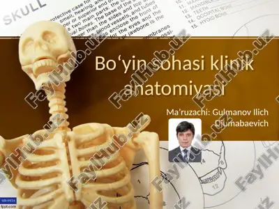 boʻyin sohasi klinik anatomiyasi — PPTX