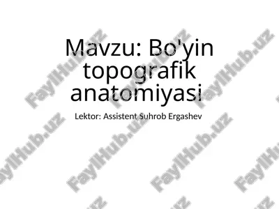 bo'yintopografik anatomiyasi — PPTX