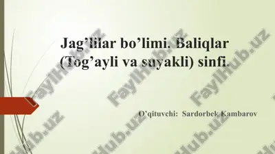 baliqlar sinfi haqida ma'lumotlar — PPTX