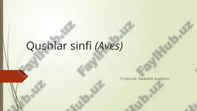 qushlarsinfi(aves) — PPTX