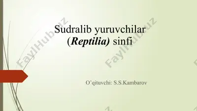 sudralibyuruvchilar (reptilia) sinfi — PPTX