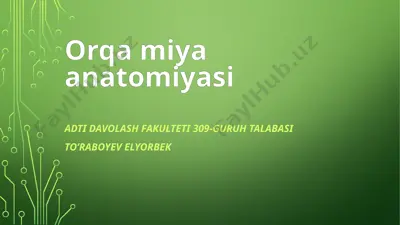 orqamiyaanatomiyasi — PPTX