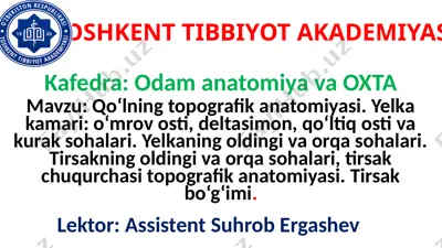 qo‘lning topografik anatomiyasi — PPTX