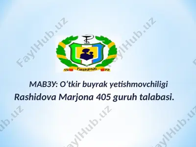 o'tkir buyrak yetishmovchiligi — PPTX