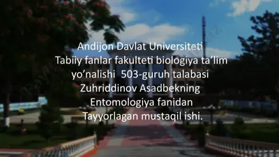 tibbiyotda qoʻllaniladigan hasharotlar: sirli dunyo — PPTX