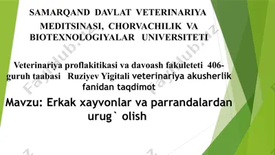 samarqanddavlat veterinariya meditsinasi, chorvachilik va biotexnologiyalar universiteti — PPTX