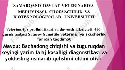 veterinariya proflaktikasi va davoa shafqatuguruq fanida taqdimot — PPTX