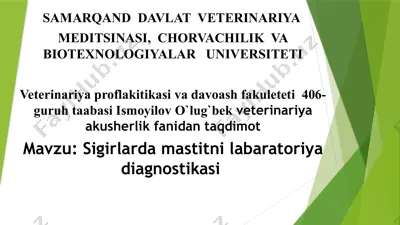 sigirlar mastitni laboratoriyada yokiagnostika — PPTX