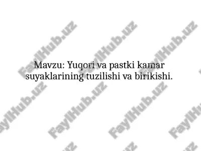 yuqori va pastki kamarsuyaklarining tuzilishi — PPTX
