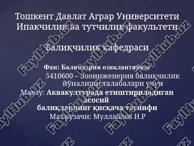 fan: baliqlarni oziqlantirish — PPTX