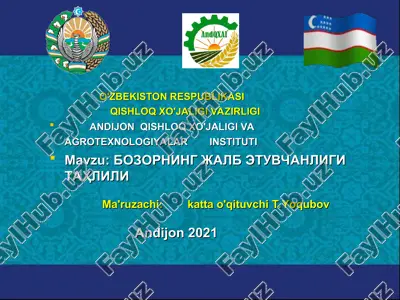 bozorni jalb etuvchanligi tahlili — PPT