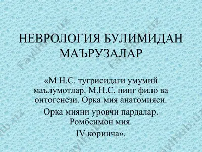 nevrologiya bulimidanma'ruzalar — PPT