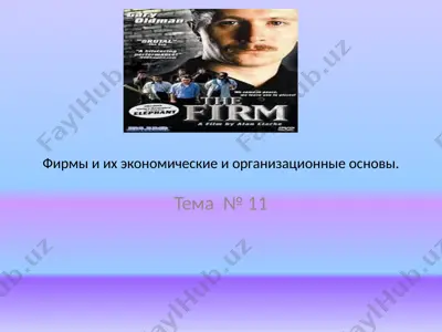 firmi i ix ekonomicheskie i organizatsionnie osnovi — PPTX