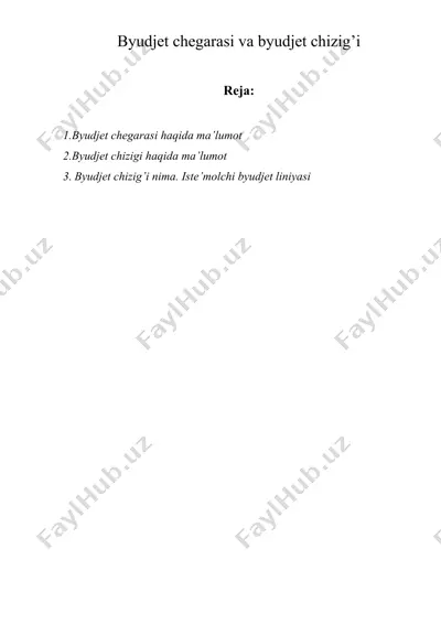 byudjet chegarasi va byudjet chizig’i — DOCX