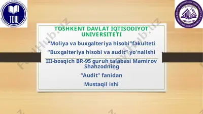 auditorlik tekshiruvi — PPTX