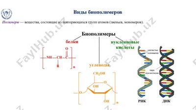 guonosmmepos — PPTX