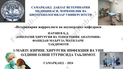 operativ xirurgiya va topografik anatomiya fanidan ma'ruzamatnlari — PPTX