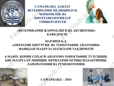 "operativxirurgiyava topografik anatomiya" — PPTX