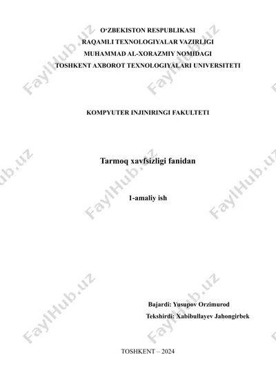 tarmoq xavfsizligi fanidan laboratoriya ishi — DOCX