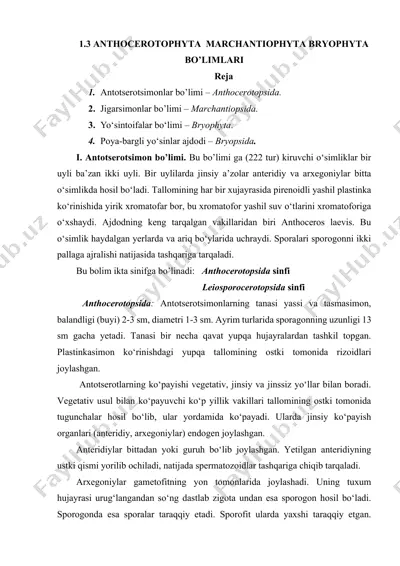 anthocerotophyta, marchantiophyta, bryophyta bo’limlari — DOCX