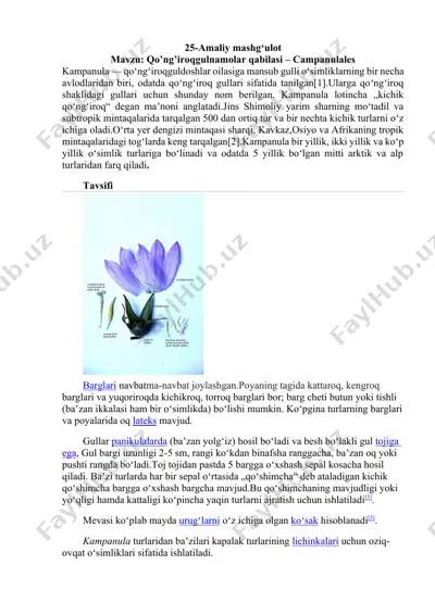 kampanula (qo'ng'iroqgul) — DOCX