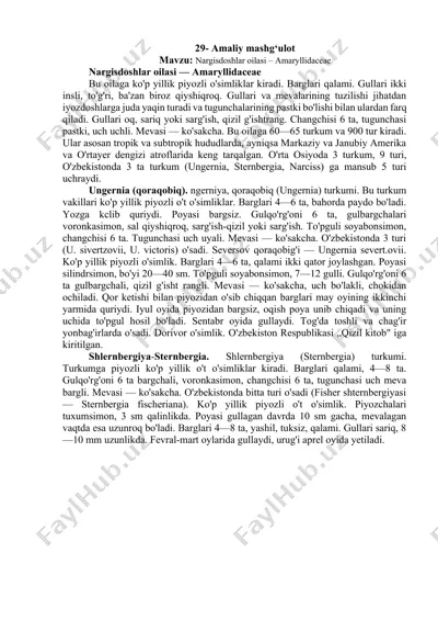 nargisdoshlar oilasi – amaryllidaceae — DOCX