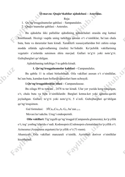 qoqio‘tkabilar ajdodchasi - asteridae — DOCX