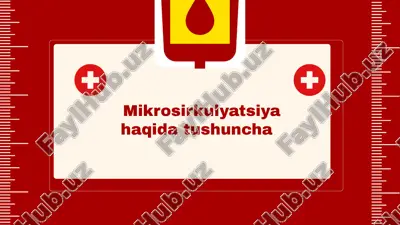 mikrosirkulyatsiya haqida tushuncha — PPTX