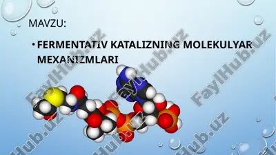 fermentativ katalizning molekulyar mexanizmlari — PPTX