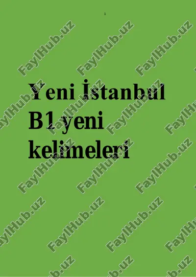 yeni i̇stanbul b1 kitobi yangi so'zlari — PDF