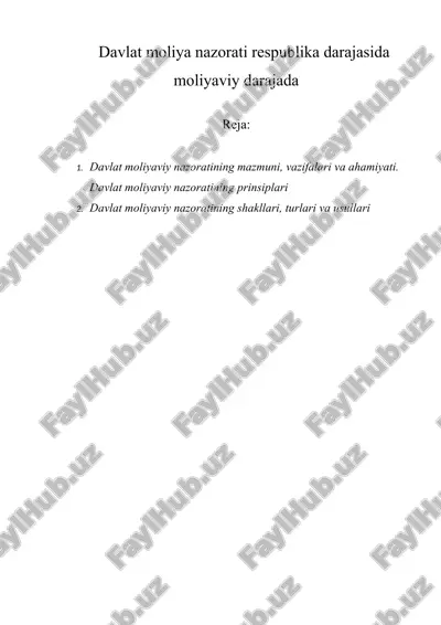 davlat moliyaviy nazorati — DOCX