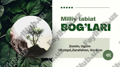 zomin milliytabiat — PPTX
