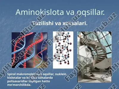 aminokislotlar — PPTX