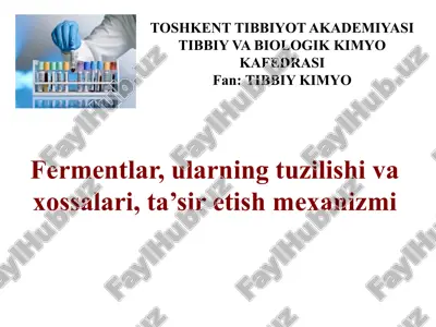 fermentlar — PPTX