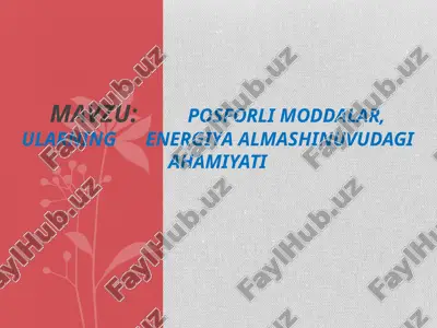 fosforlimoddalar haqida — PPTX