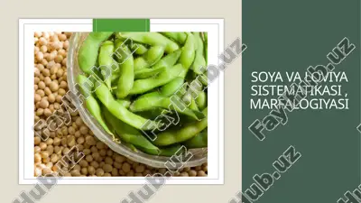 soya va loviya sistemasi, marfalogiyasi — PPTX